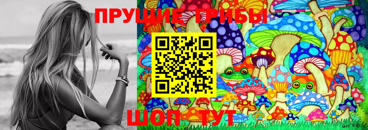 Прохладный  Псилоцибиновые грибы прущие грибы  Вход с VPN 